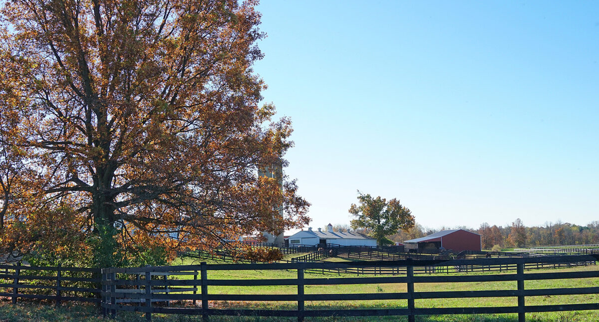 view of Mapleton Thoroughbred Farm from distance